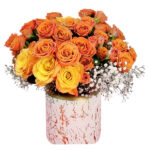 Beautiful Orange BOX 1