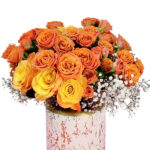 Beautiful Orange BOX 2