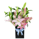 Lily of the Valley 1