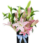 Lily of the Valley 2