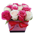 Lovely Pink and White Roses 1