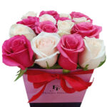 Lovely Pink and White Roses 2