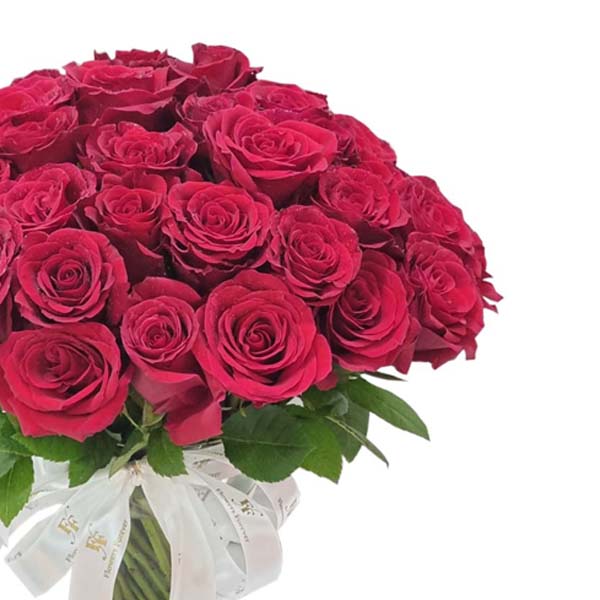 red rose 3