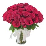 red rose compact 1