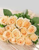 Cream Rose 1