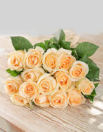 Cream Roses