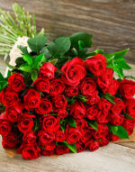 Just red roses 1