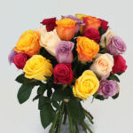 Mix Color roses 3