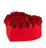 My Love With Roses