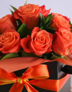 Petit Orange Dome 2