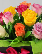 Petit Rainbow Box 1