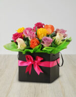 Petit Rainbow Box