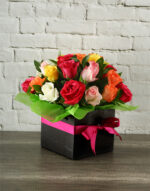 Petit Rainbow Box 2
