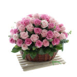 Purple riding hood 1