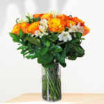 Stunning Miracle Rose 1