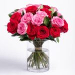 Mix of Hot Pink Rose